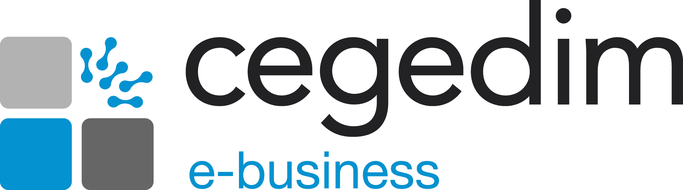 Logo - Cegedim e-Business
